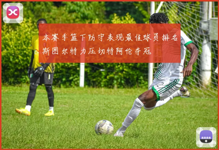 本赛季篮下防守表现最佳球员排名斯图尔特力压切特阿伦夺冠